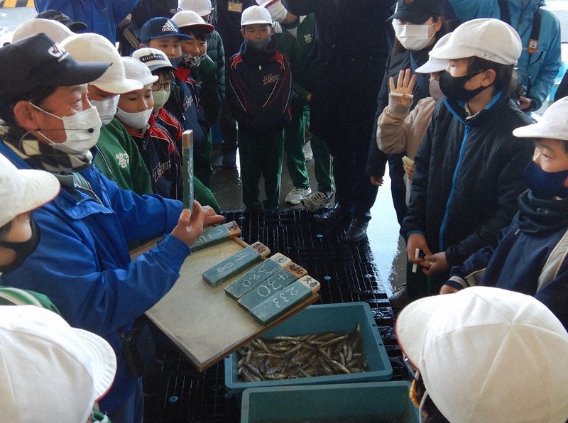 小学生が魚市場で体験 「入札の難しさ、分かった」 三重の答志島 