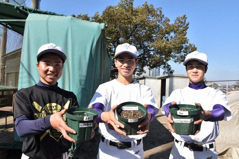 甲子園タオル 智辯学園 山下陽輔 2025年最新】智辯学園 タオルの人気アイテム - メルカリ