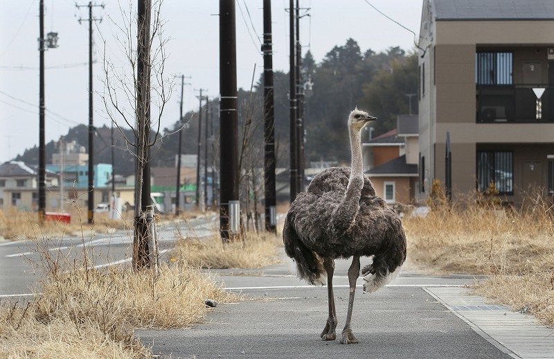 東日本大震災 あの時の きょう ３月１日 写真特集1 10 毎日新聞