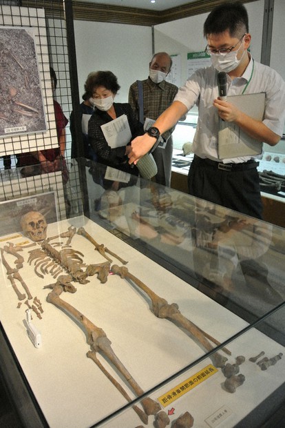 小竹貝塚の縄文人、北方系と南方系混在 富山発掘の人骨分析