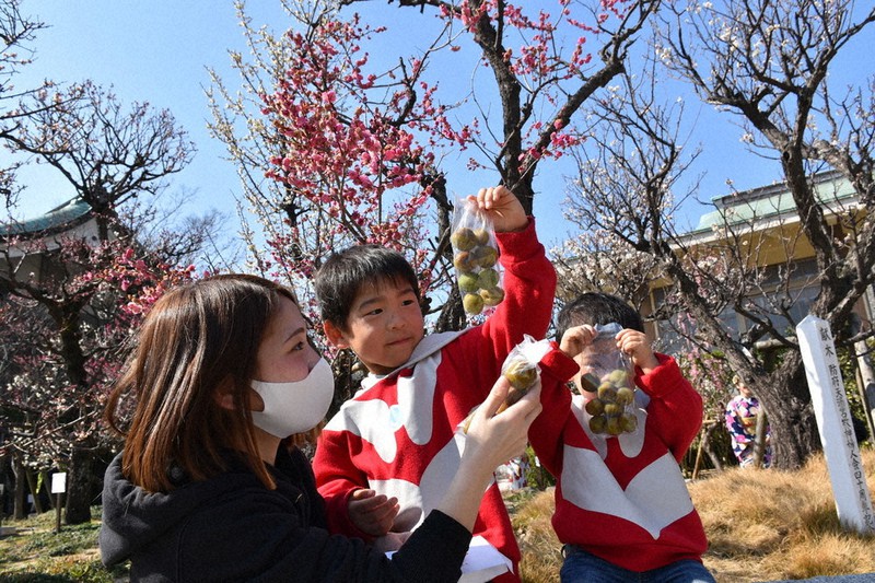 春の陽気 梅まつり 稚児の舞や 出世梅 配布 防府天満宮 山口 毎日新聞