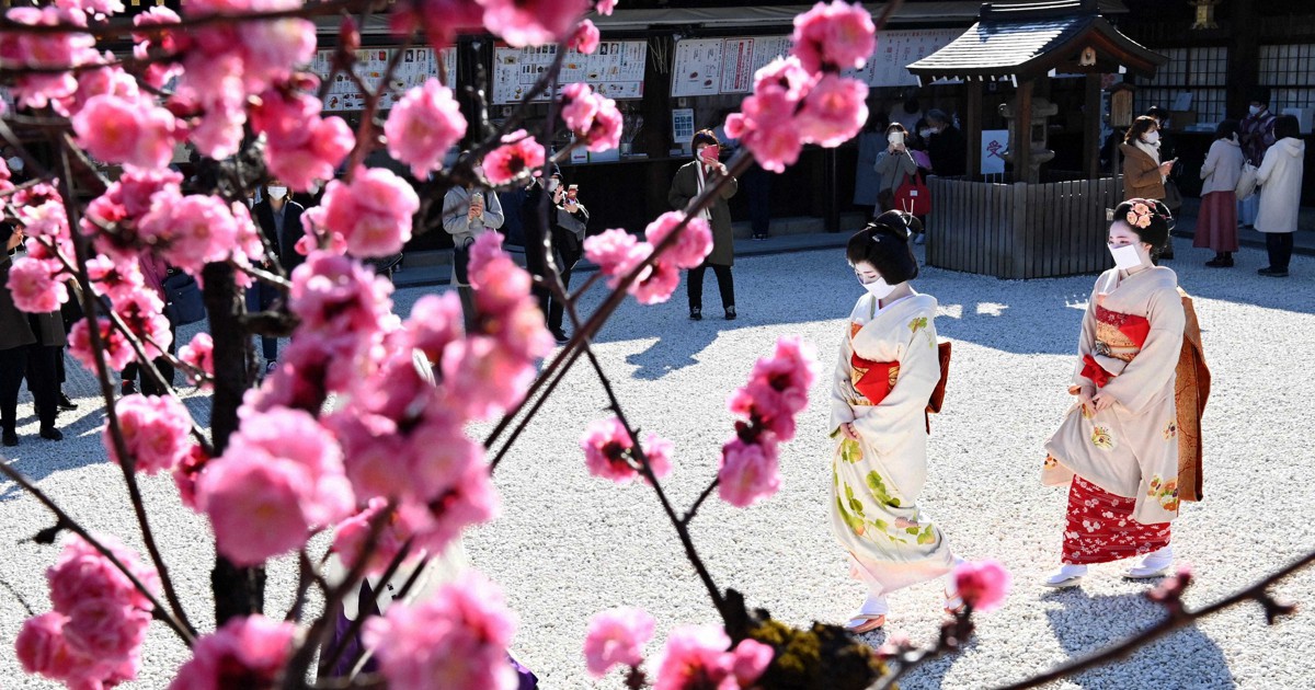 北野天満宮で梅花祭 コロナで野だて中止 献茶ノ儀 厳かに 毎日新聞