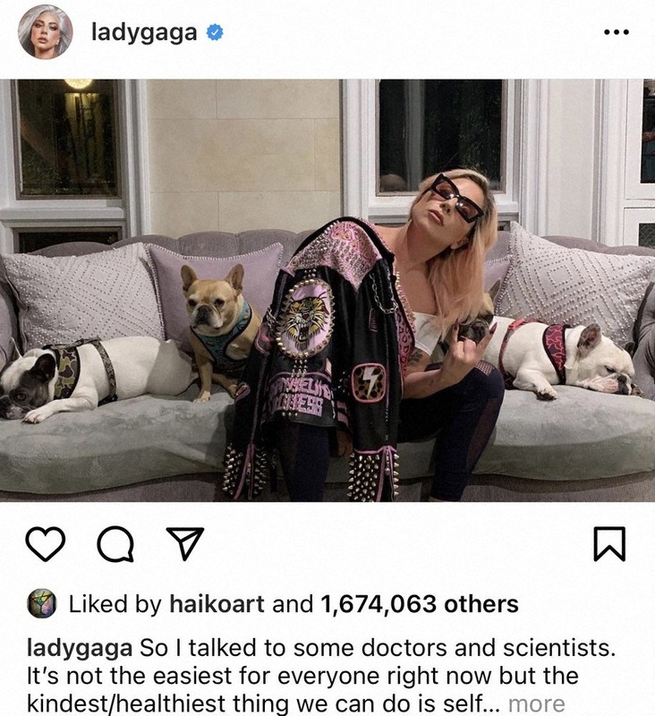 レディー・ガガさんと愛犬のフレンチブルドッグたち=2020年3月14日、本人のインスタグラムより