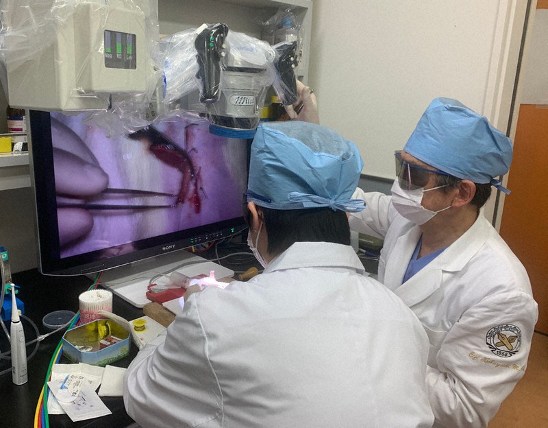 ラットの大腸組織を使い、小腸の機能を再生する実験に取り組む小林英司・慶応大特任教授(右)ら=小林特任教授提供