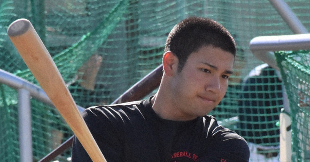 智辯学園練習着 智辯学園甲子園練習着 - メルカリ