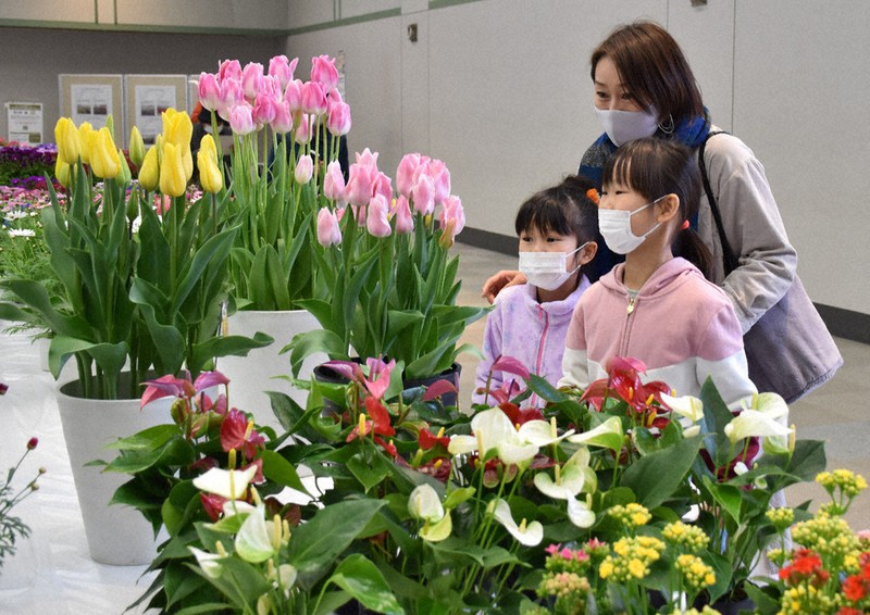 展示されている花を眺める来場者=香川県高松市林町のサンメッセ香川で、喜田奈那撮影