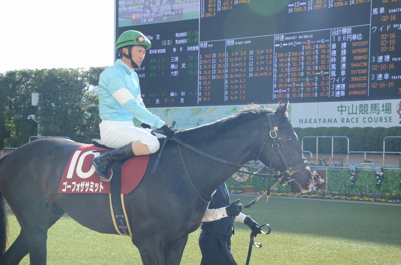 まねき馬　直筆 No.107 ホッカイルソー 蛯名騎手直筆（未開封） まねき馬 直筆 No.107 ホッカイルソー 蛯名騎手直筆（未開封） 蛯名