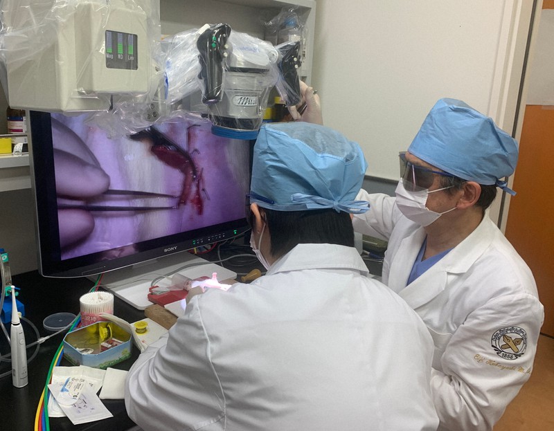 ラットの大腸組織を使い、小腸の機能を再生させる実験に取り組む小林英司・慶応大特任教授(右)ら=小林特任教授提供