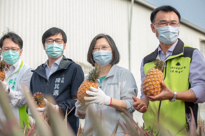 台湾南部・高雄市の農家を激励に訪れ、パイナップルを手にする蔡英文総統(右から2人目)=台湾総統府提供