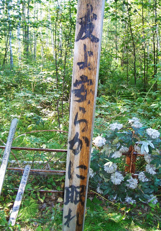 常夏通信 その84 戦没者遺骨の戦後史 30 日本人 の指摘を無視した厚労省 毎日新聞