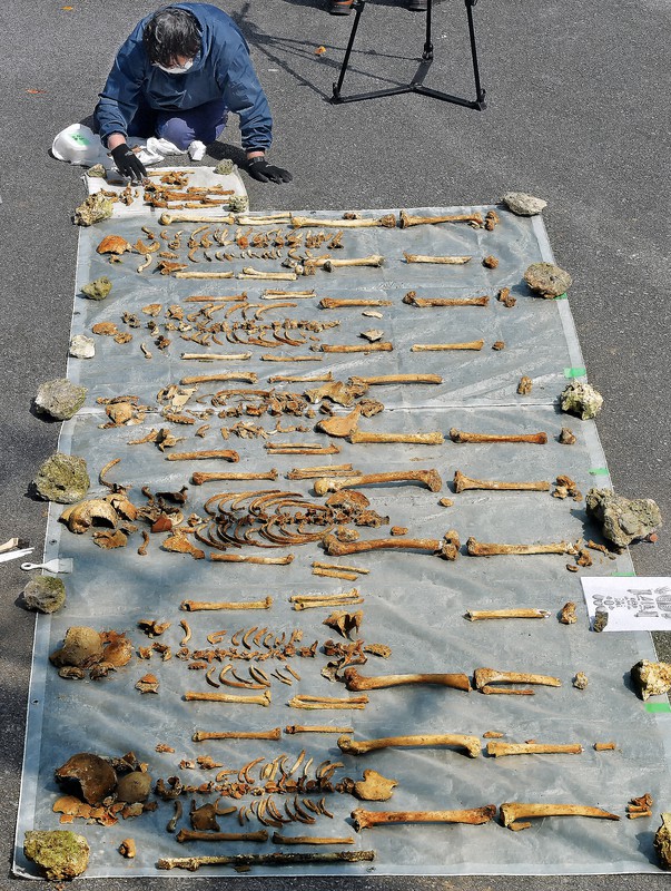 沖縄県糸満市で見つかった沖縄戦犠牲者とみられる大人6人分、子ども2人分の遺骨=浜田哲二さん提供