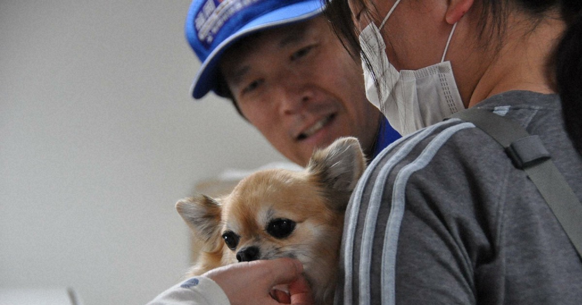 Vet team founder in Japan urges pet owners to thoroughly prepare for