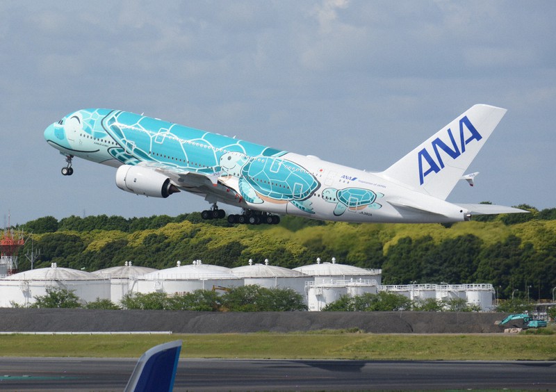 遊覧飛行に活用される全日空のA380の2号機=2019年6月14日午前8時47分、中村宰和撮影