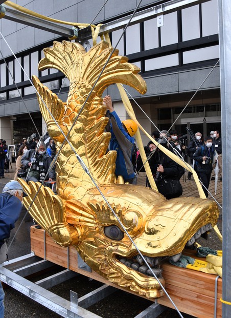 状態良好♩セレクト発送　セール開催中⭐︎キンシャチ⭐︎金鯱12号 名古屋城金シャチ特別展覧」をタイムラプス撮影：中日新聞Web