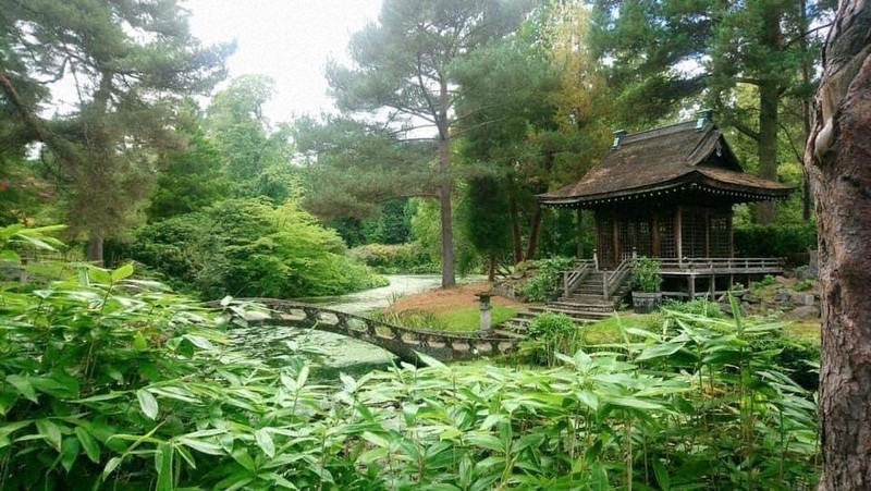 タットンパークの日本庭園=ダミアン・フラナガン撮影