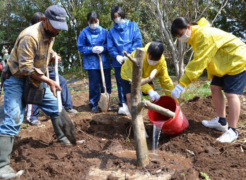 幹と枝を切って移植したゲンコウの根元に水がたまるように鉢状に土を盛る富田さん(左端)と唐津西高写真部の部員たち