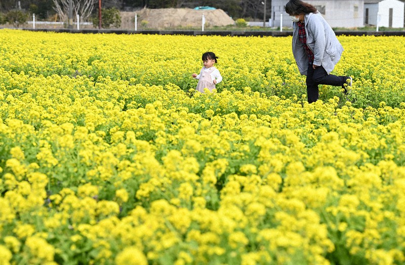 ゆっくりお茶を 卒業おめでとうございます 人生は恩送りの旅 毎日新聞