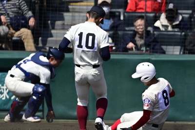 桐蔭学園(神奈川) 甲子園 第66回 センバツ高校野球大会出場記念 2個 桐蔭学園(神奈川) 甲子園 第66回 センバツ高校野球大会出場記