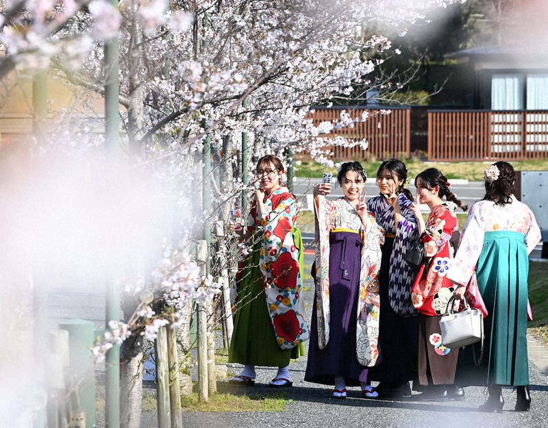 桜も祝福 九大で卒業式 毎日新聞