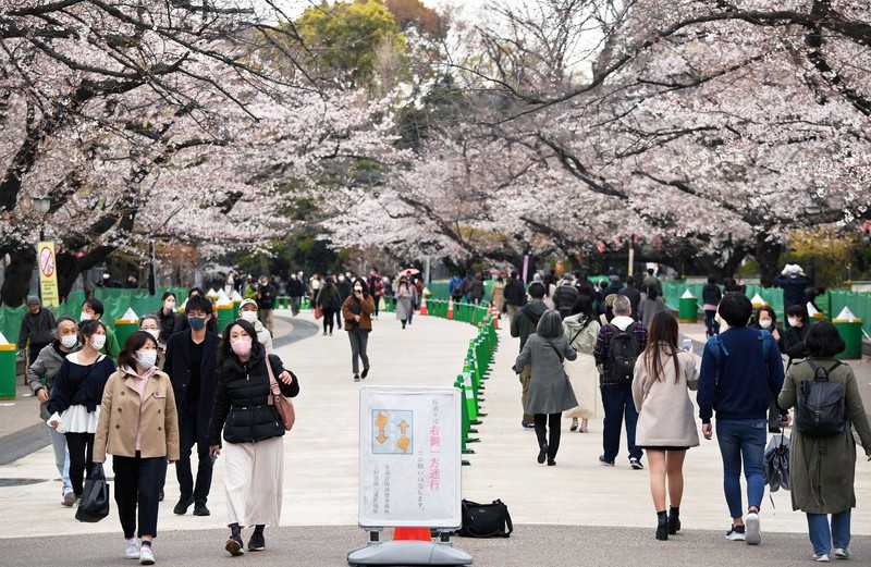 一方通行などの新型コロナウイルス対策が取られる上野公園で花見を楽しむ人たち=東京都台東区で2021年3月22日午後3時31分、手塚耕一郎撮影