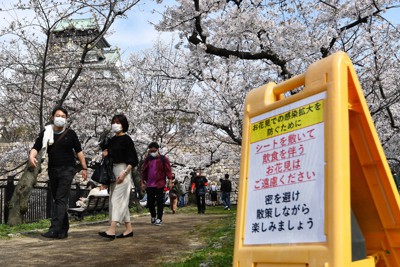 広がる青の世界 1万本のネモフィラ見ごろ 福岡 海の中道 毎日新聞
