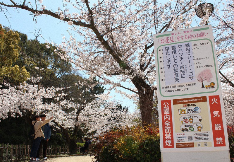 花見はお散歩で 着座での飲食禁止 松山 愛媛 毎日新聞