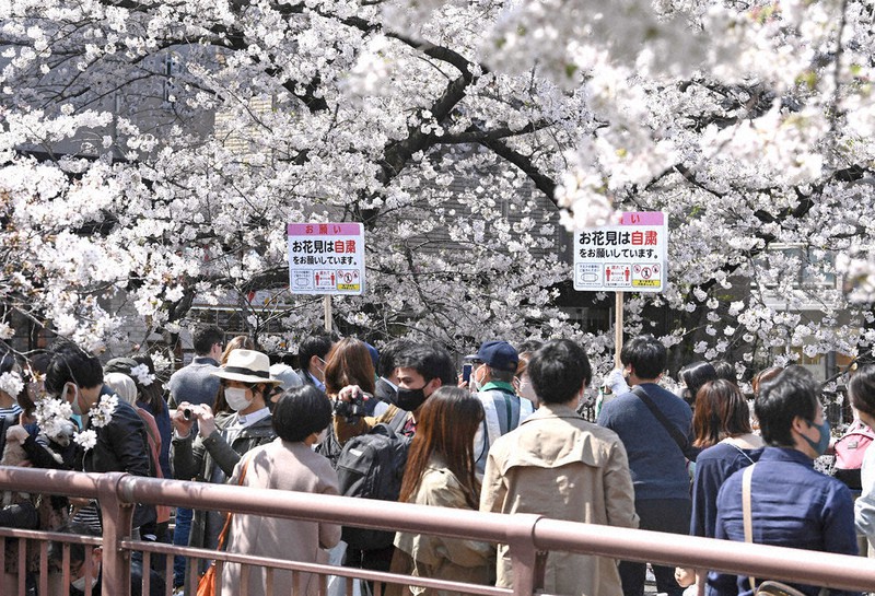 緊急事態宣言解除後初の週末、花見の自粛が呼びかけられるなか多くの人でにぎわう目黒川沿いの桜並木=東京都目黒区で2021年3月27日午後0時40分、竹内紀臣撮影