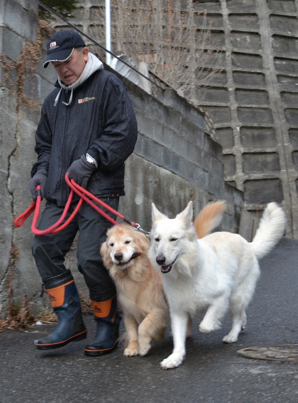 災害救助犬をトレーニングする佐々木光義さん。町との協定締結で円滑に活動できることが期待される=岩手県大槌町で