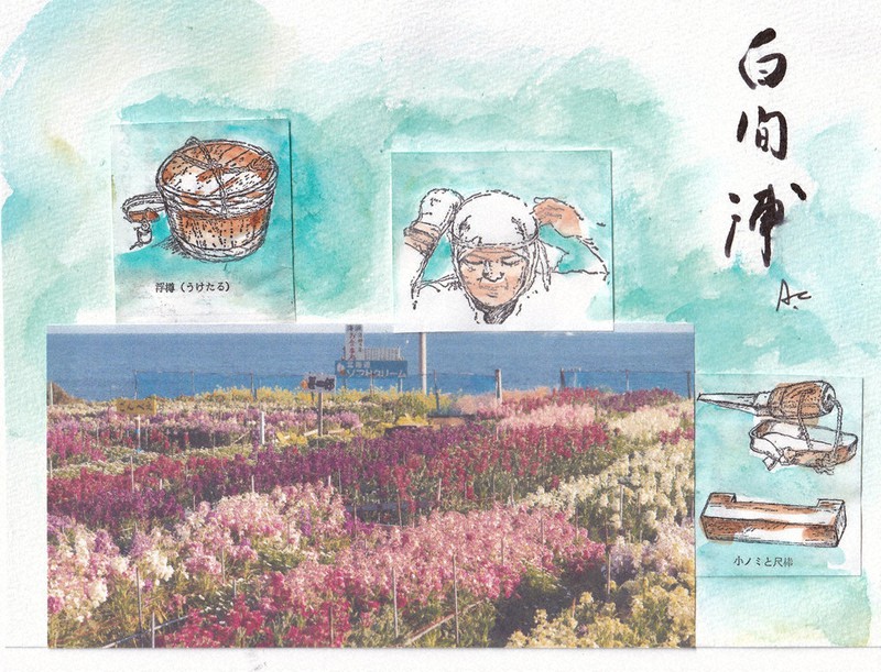 白間津のお花畑の写真(千葉県南房総市提供)と、書籍「海女たちの四季」のイラスト