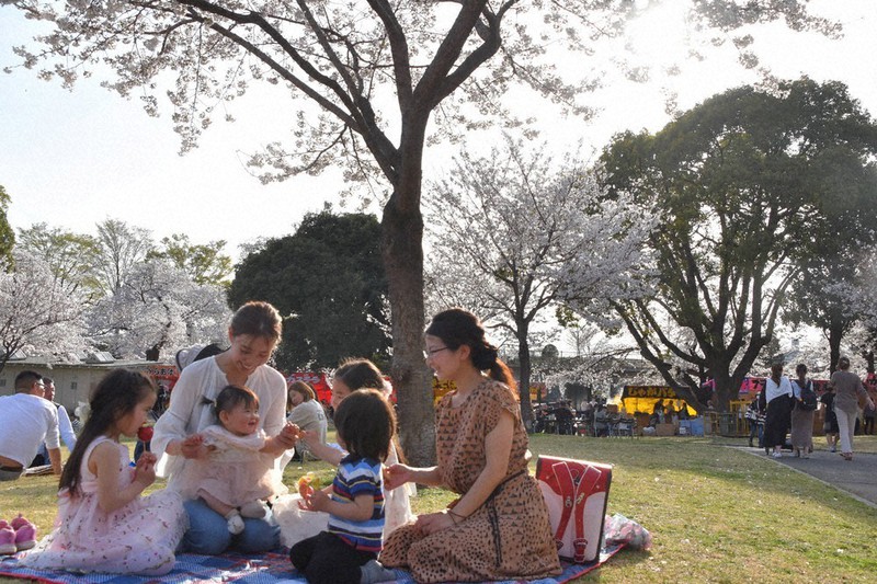 半袖でお花見 桐生は夏日 みなかみ 草津 ３月観測史上最高に 群馬 毎日新聞