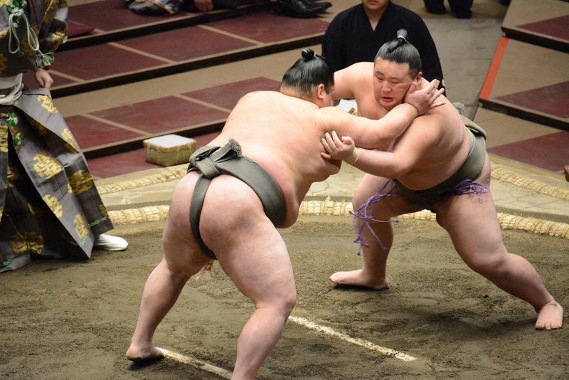 12日目、欧勝竜(左)に敗れた吉井=黒川優撮影