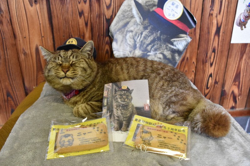 ねこ駅長 就任３年 住民らが記念祝う ｊｒ豊後竹田駅 大分 毎日新聞