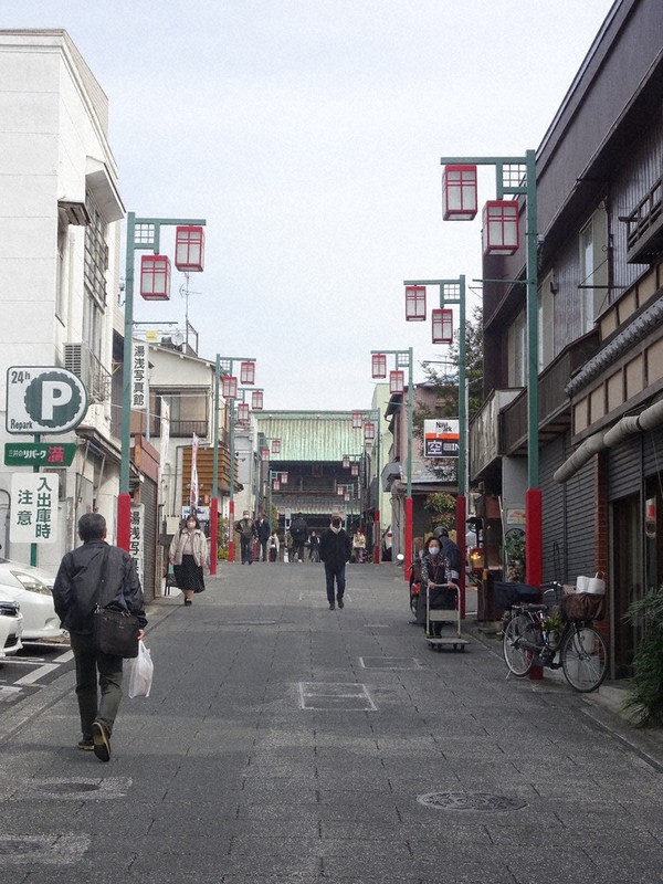 市川市の景観重点地区に指定された中山参道=千葉県市川市中山で2021年3月5日、小林多美子撮影