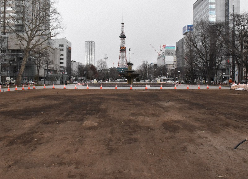 芝生がすっかり除去され、土がむき出しになった大通公園=札幌市中央区で2021年4月8日、土谷純一撮影