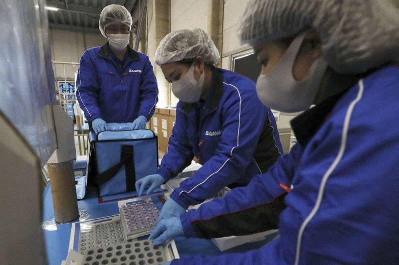 新型コロナウイルスのワクチンを配送用の保冷ボックスに移し替える作業=大阪市内で2021年3月7日午前(代表撮影)
