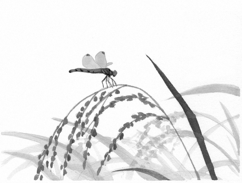 恋ふらむ鳥は 271 澤田瞳子 画 村田涼平 毎日新聞