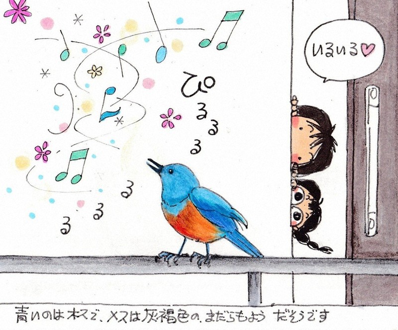 え・林やよいさん