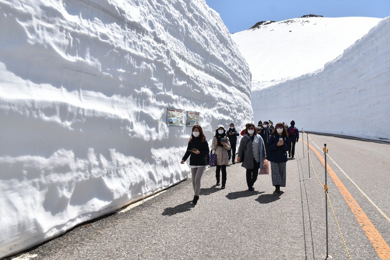 立山黒部アルペンルート全線開通 雪の大谷ウオーク2年ぶり開催 [写真