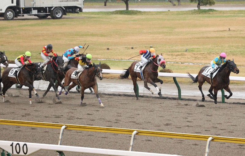 女性騎手が史上初の1 2 3着独占 中央競馬 新潟7r 毎日新聞