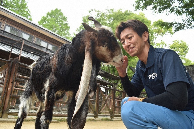 熊本地震直前に生まれたミミナガヤギを見つめる熊本市動植物園副園長の松本充史さん=熊本市東区で2021年4月16日午後4時21分、城島勇人撮影