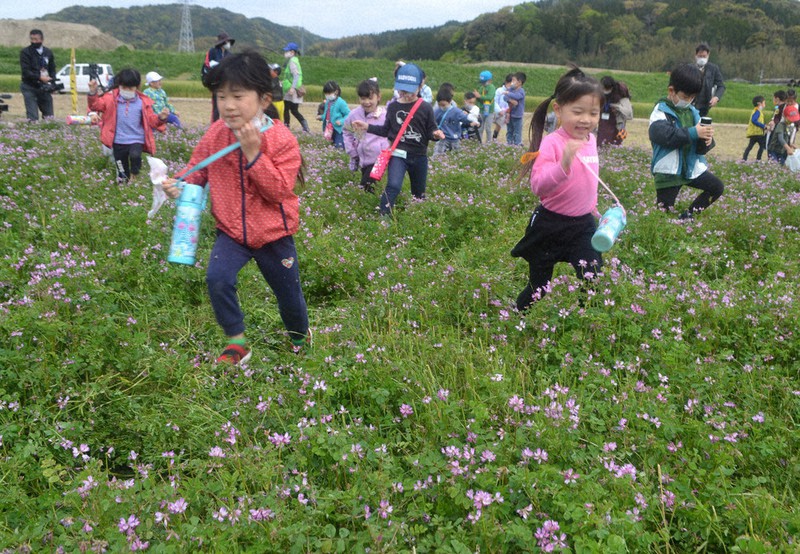 緑肥としてすき込む前のレンゲ畑を駆け回る唐津市立鬼塚小1年生