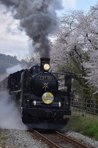 SL行く春の阿賀の路 JR磐越西線 ／新潟 | 毎日新聞