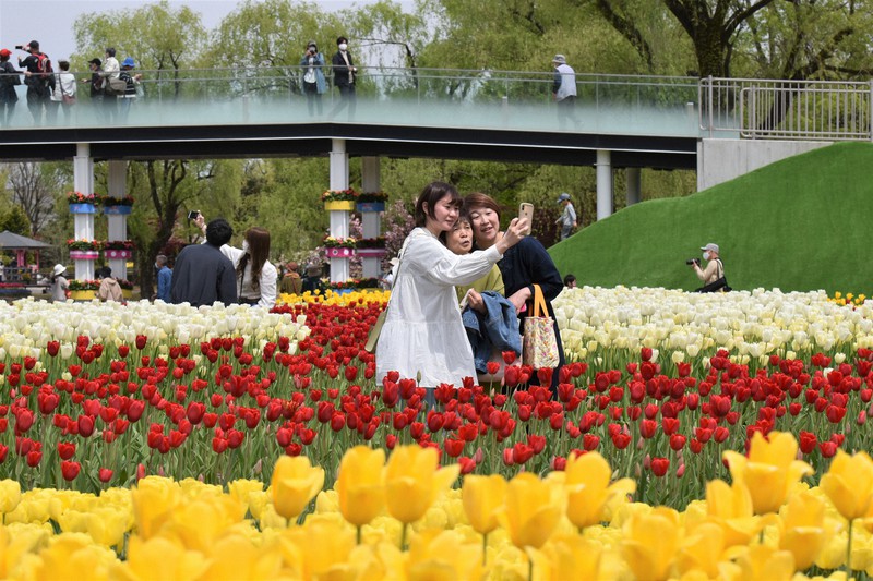 ブルーインパルスも花を添え となみチューリップフェア開幕 富山 毎日新聞