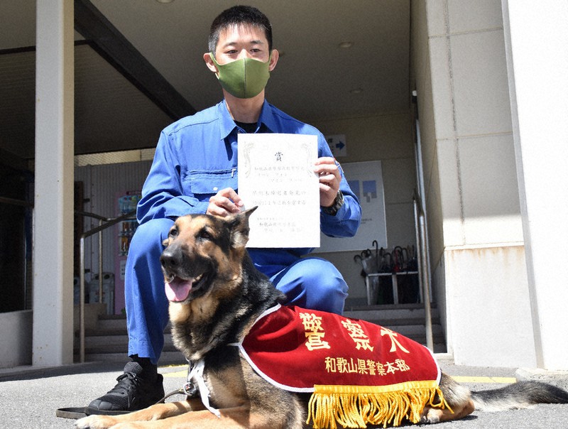お手柄！行方不明者発見 警察犬ヨハン号に署長賞 和歌山北署 ／和歌山 毎日新聞