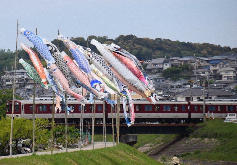 近鉄電車の前で泳ぐこいのぼり=平群町で2021年4月22日午前11時59分、熊谷仁志撮影
