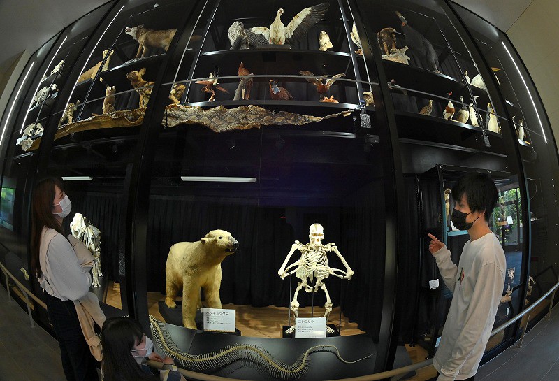 View＋：天王寺動物園 TENNOJI ZOO MUSEUM