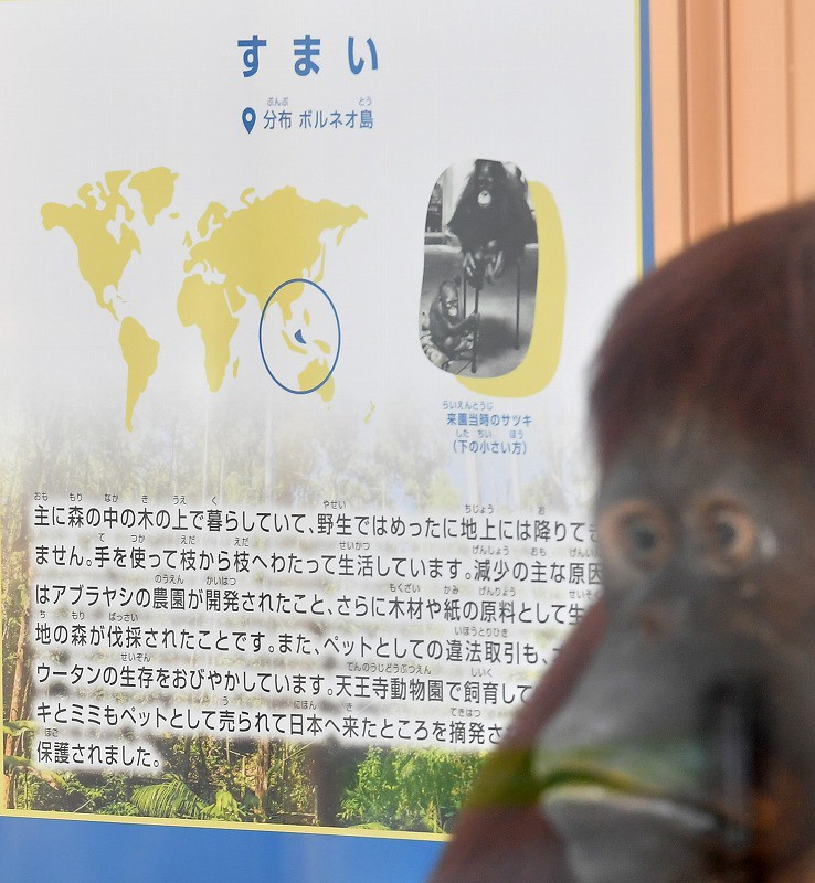 View＋：天王寺動物園 TENNOJI ZOO MUSEUM