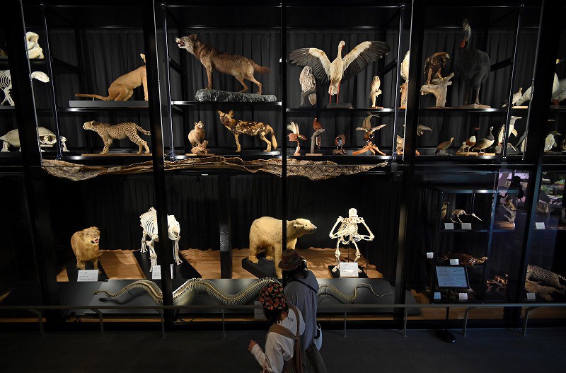 View＋：天王寺動物園 TENNOJI ZOO MUSEUM