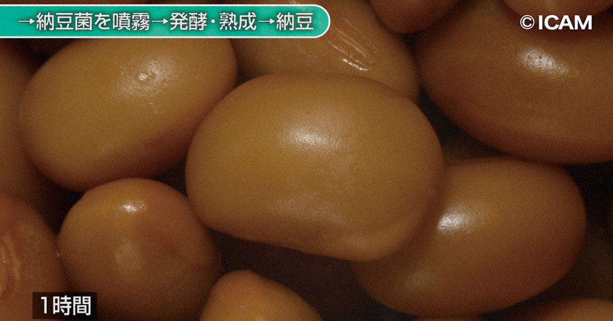 疑問氷解 納豆は腐っているのに なぜ食べるとおいしいのですか 毎日新聞