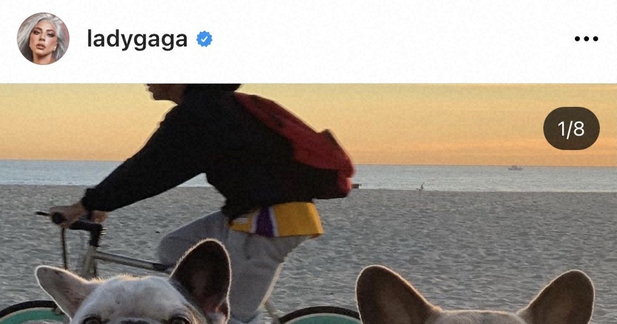 レディー ガガさん愛犬強奪の5容疑者を訴追 飼い主とは知らず 毎日新聞